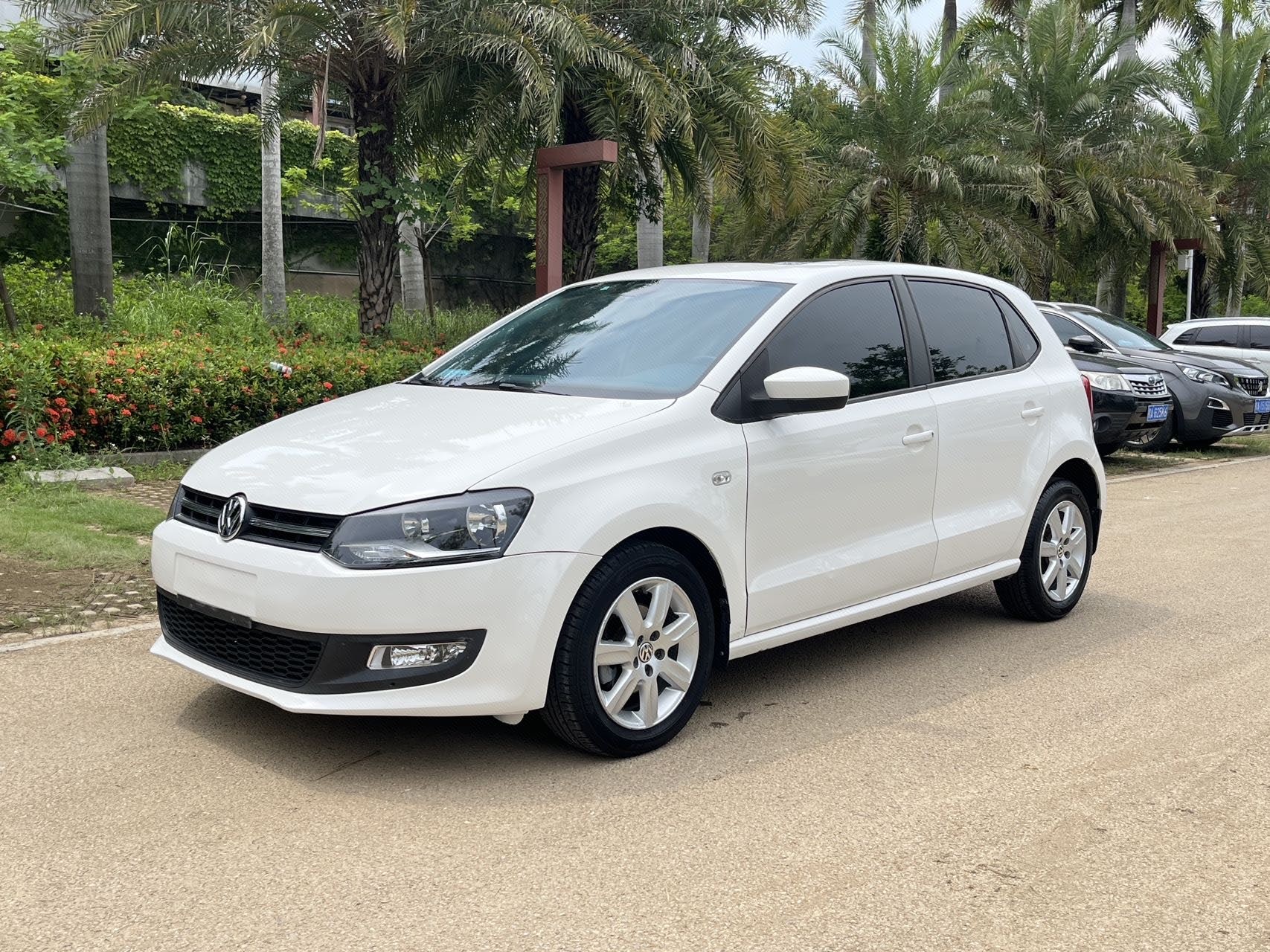 Volkswagen Polo 2014 immagine di auto 