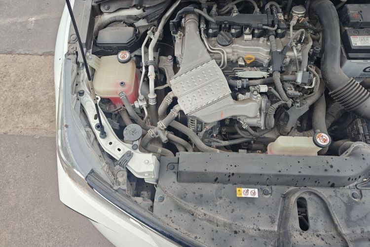 Toyota Corolla 2019 #25 Toyota Corolla 2019 car image #25