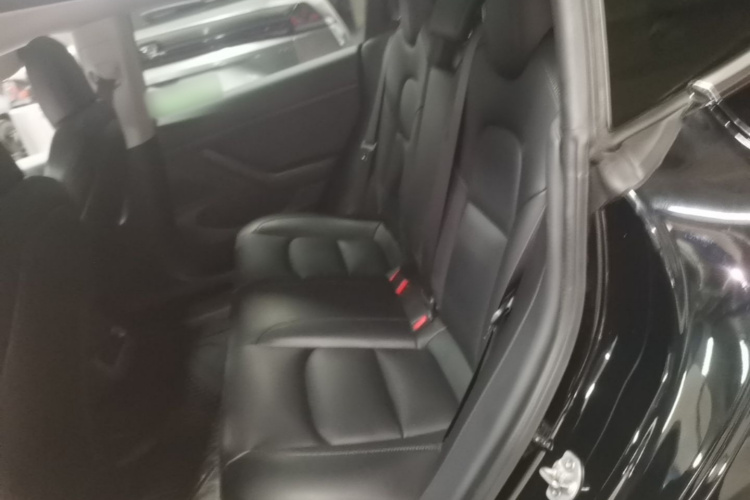 Tesla Model 3 2020 car image #17