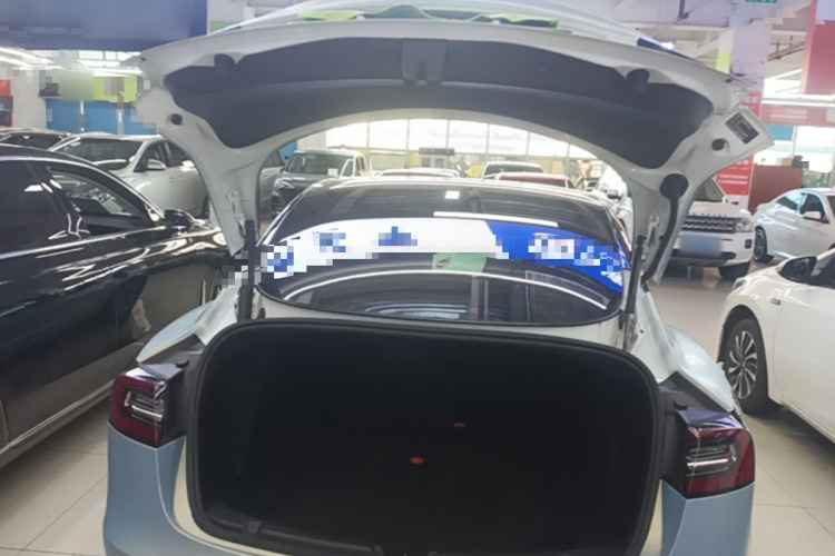 Tesla Model 3 2021 immagine di auto #19