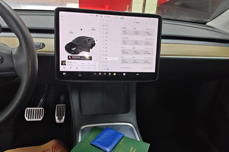Tesla Model Y 2021 car image #13