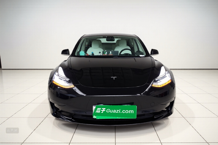 Tesla Model 3 2020 car image #3