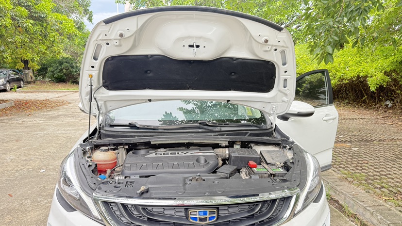 GEELY Emgrand GS 2017 #13 GEELY Emgrand GS 2017 car image #13