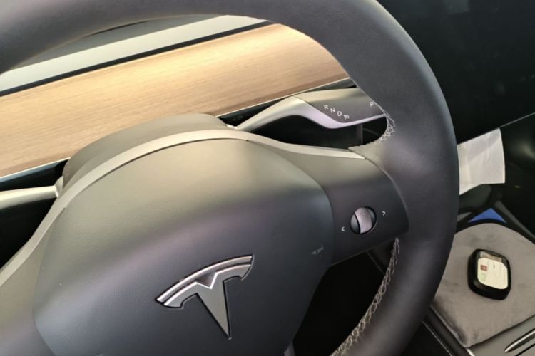 Tesla Model Y 2021 car image #14