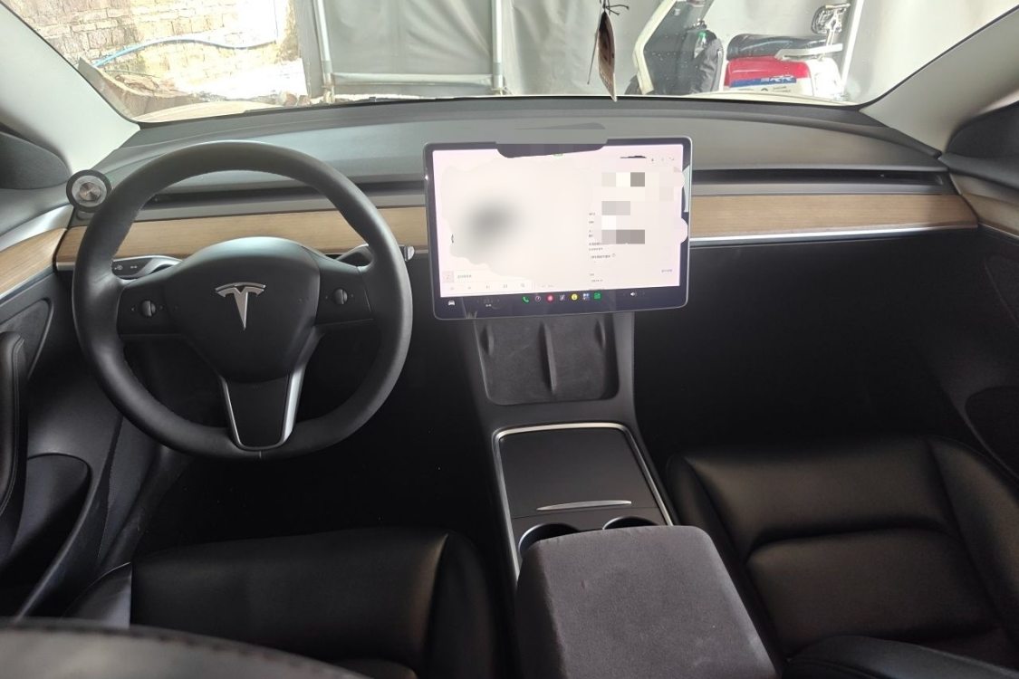 Tesla Model 3 2021 car image #23