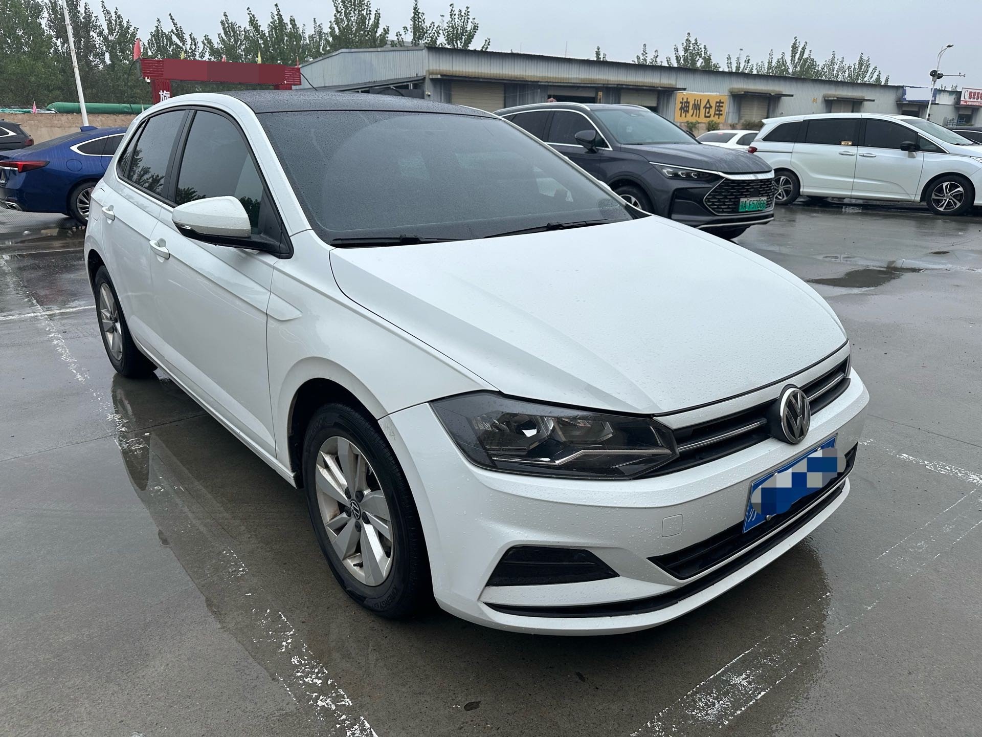Volkswagen Polo 2023 imagen de coche #3