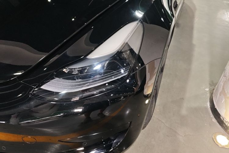 Tesla Model 3 2021 #23 Tesla Model 3 2021 car image #23