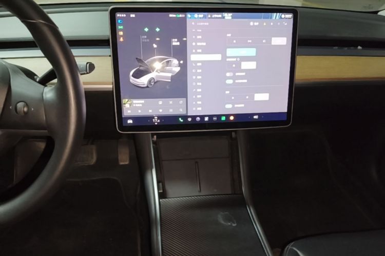Tesla Model 3 2020 car image #13