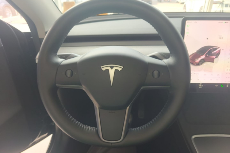 Tesla Model Y 2024 car image #11