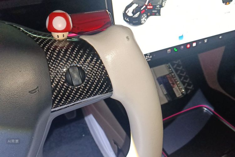 Tesla Model Y 2023 car image #10