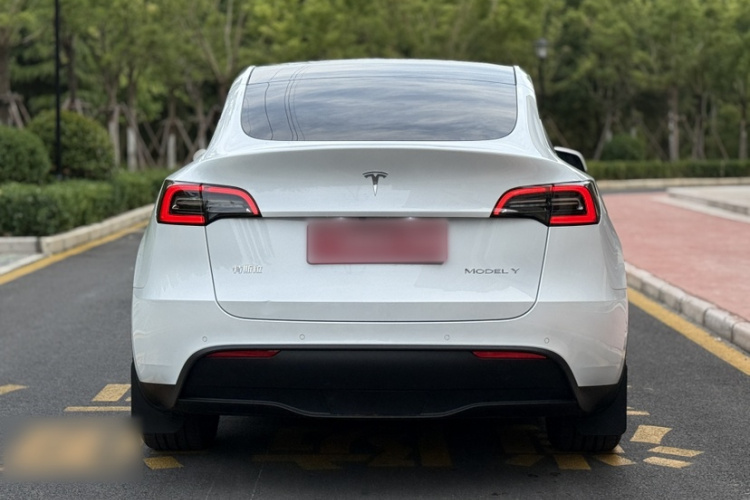 Tesla Model Y 2024 #9 Tesla Model Y 2024 car image #9