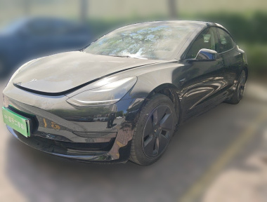 Tesla Model 3 2021 Tesla Model 3 2021 car image