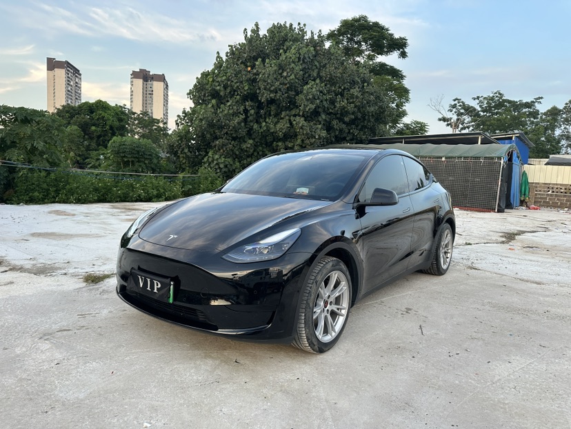 Tesla Model Y 2023 car image 