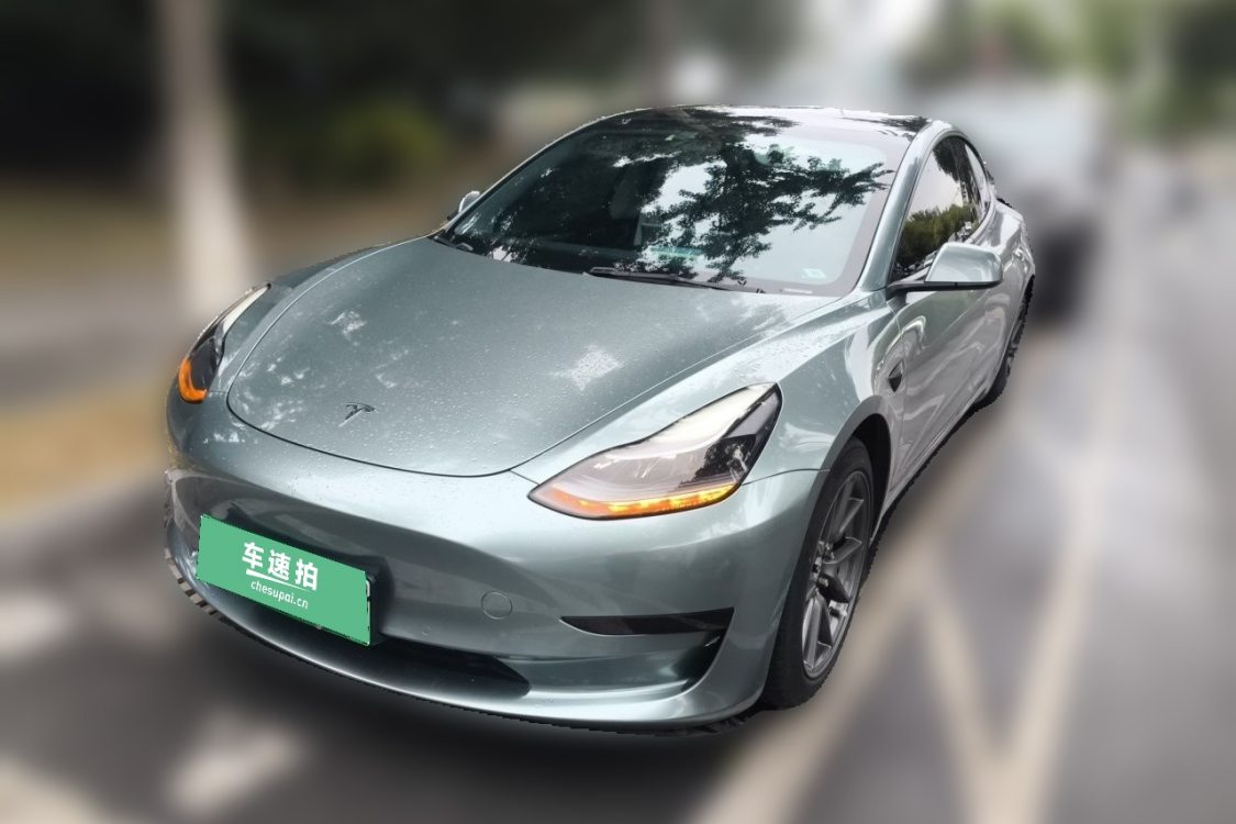 Tesla Model 3 2021 Tesla Model 3 2021 car image