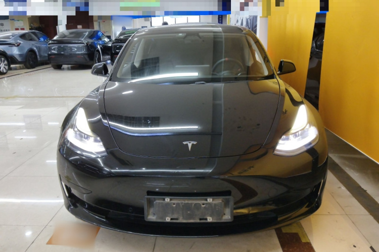 Tesla Model 3 2021 #3 Tesla Model 3 2021 car image #3