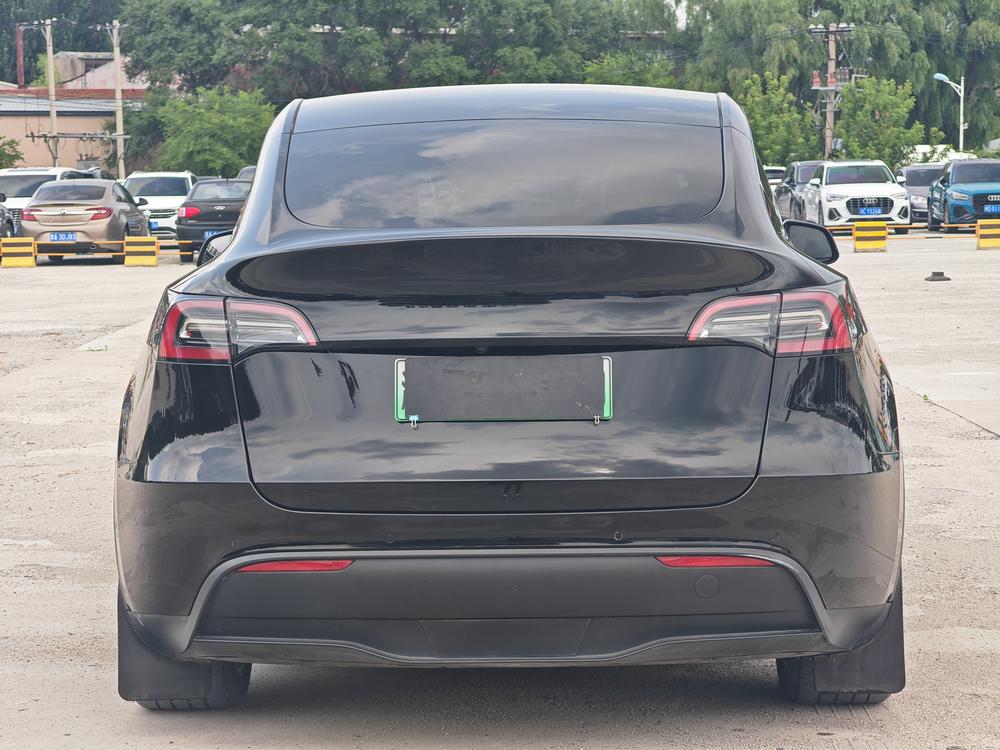 Tesla Model Y 2021 car image #6