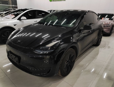 Tesla Model Y 2023 Tesla Model Y 2023 car image
