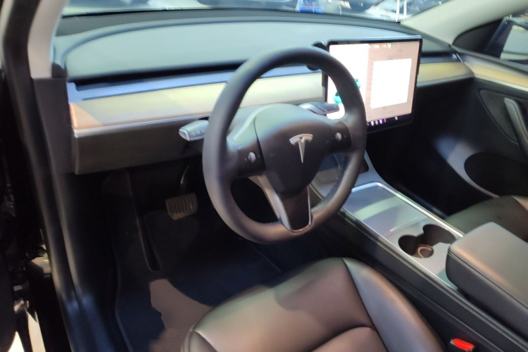 Tesla Model Y 2021 car image #10