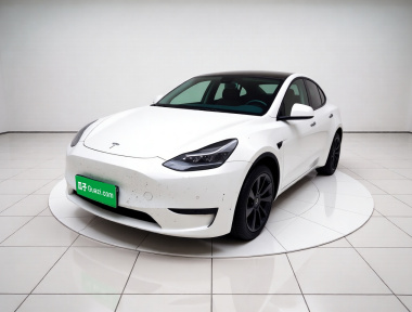 Tesla Model Y 2023 Tesla Model Y 2023 car image
