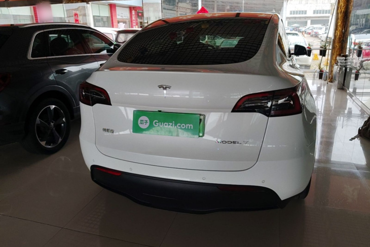 Tesla Model Y 2024 car image #6