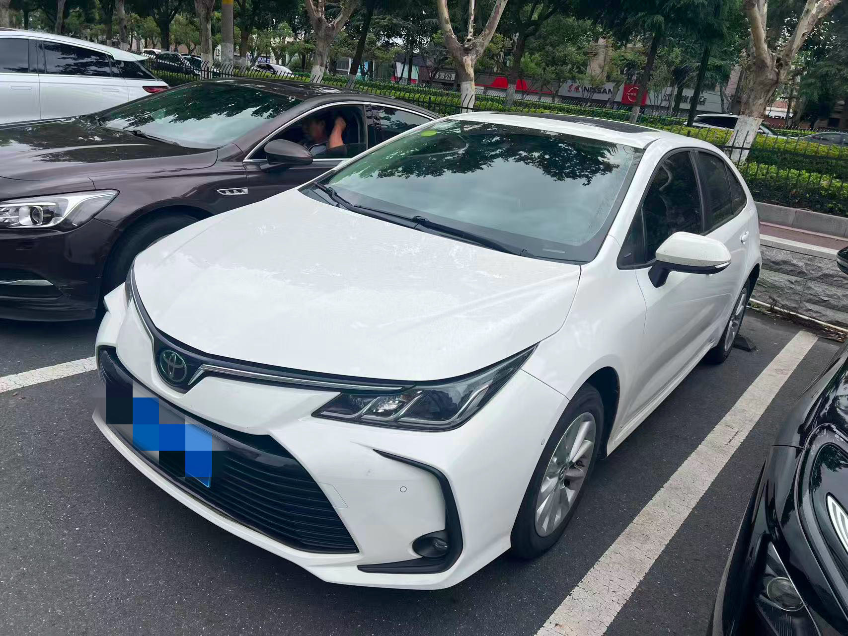 Toyota Corolla 2021 car image 