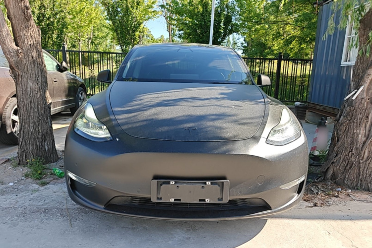 Tesla Model Y 2021 car image #3