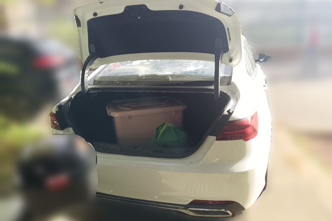 GEELY Binray 2018 imagen de coche #8