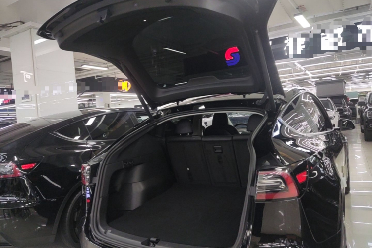 Tesla Model Y 2023 #19 Tesla Model Y 2023 car image #19
