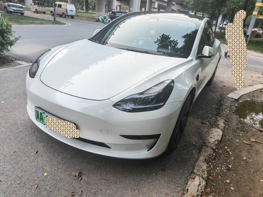 Tesla Model 3 2022 Tesla Model 3 2022 car image