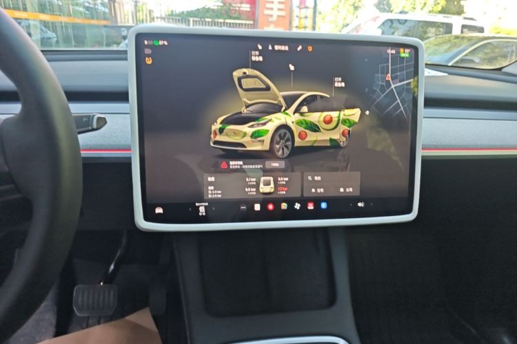 Tesla Model Y 2023 car image #13