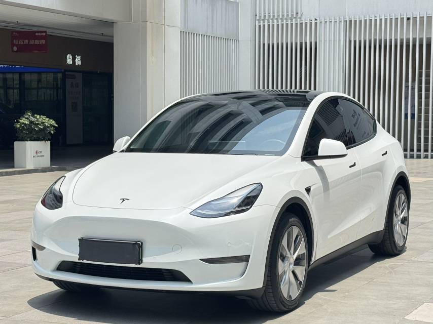 Tesla Model Y 2022 car image 
