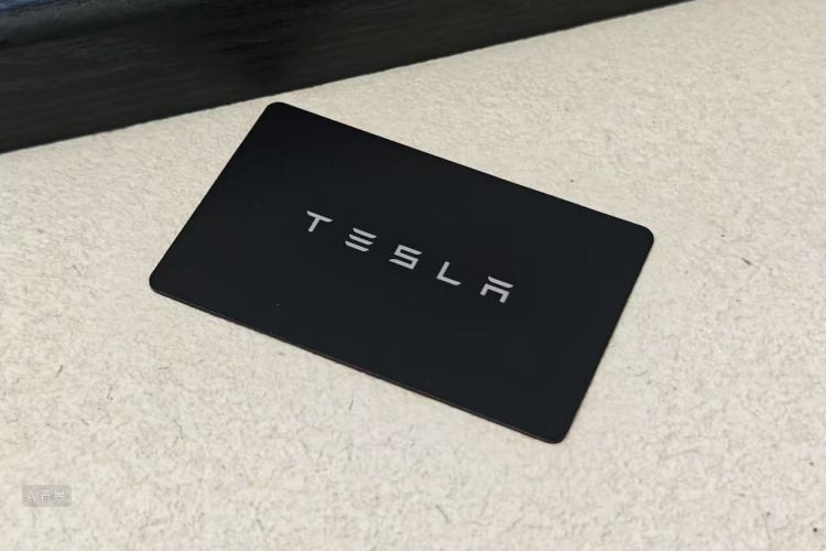 Tesla Model Y 2023 #10 Tesla Model Y 2023 car image #10