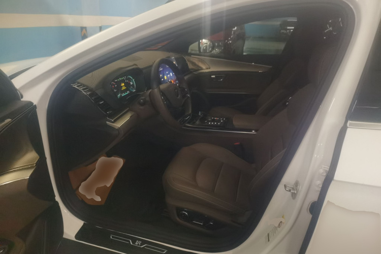 比亚迪 汉 2021 汽车图片 #15