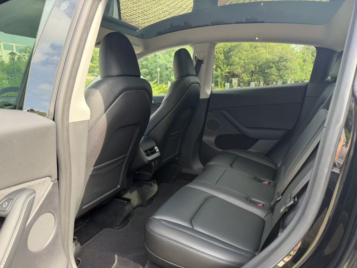 Tesla Model Y 2023 car image #6
