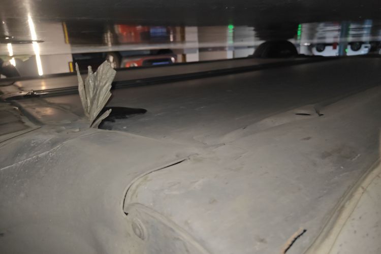 Tesla Model 3 2023 car image #23