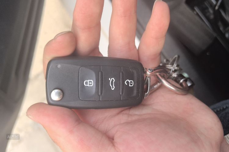 Volkswagen Santana 2022 car image #10