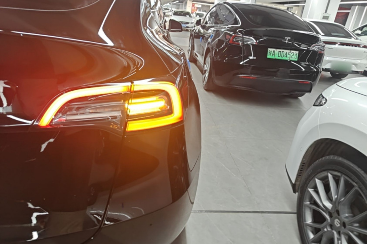 Tesla Model Y 2021 #8 Tesla Model Y 2021 car image #8
