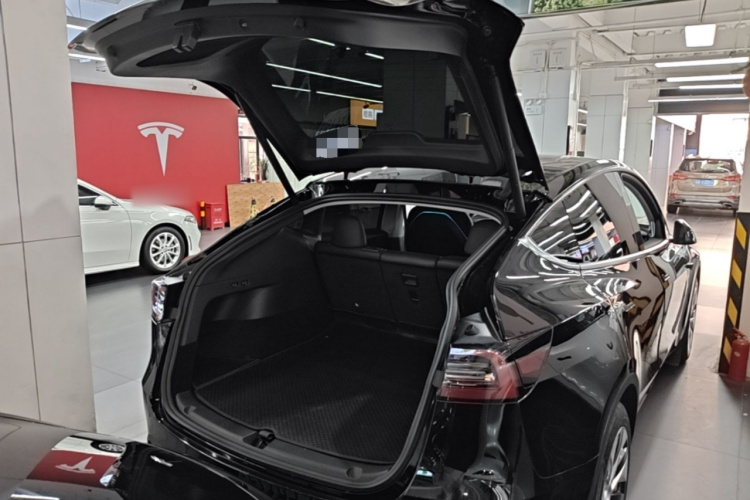 Tesla Model Y 2023 #19 Tesla Model Y 2023 car image #19