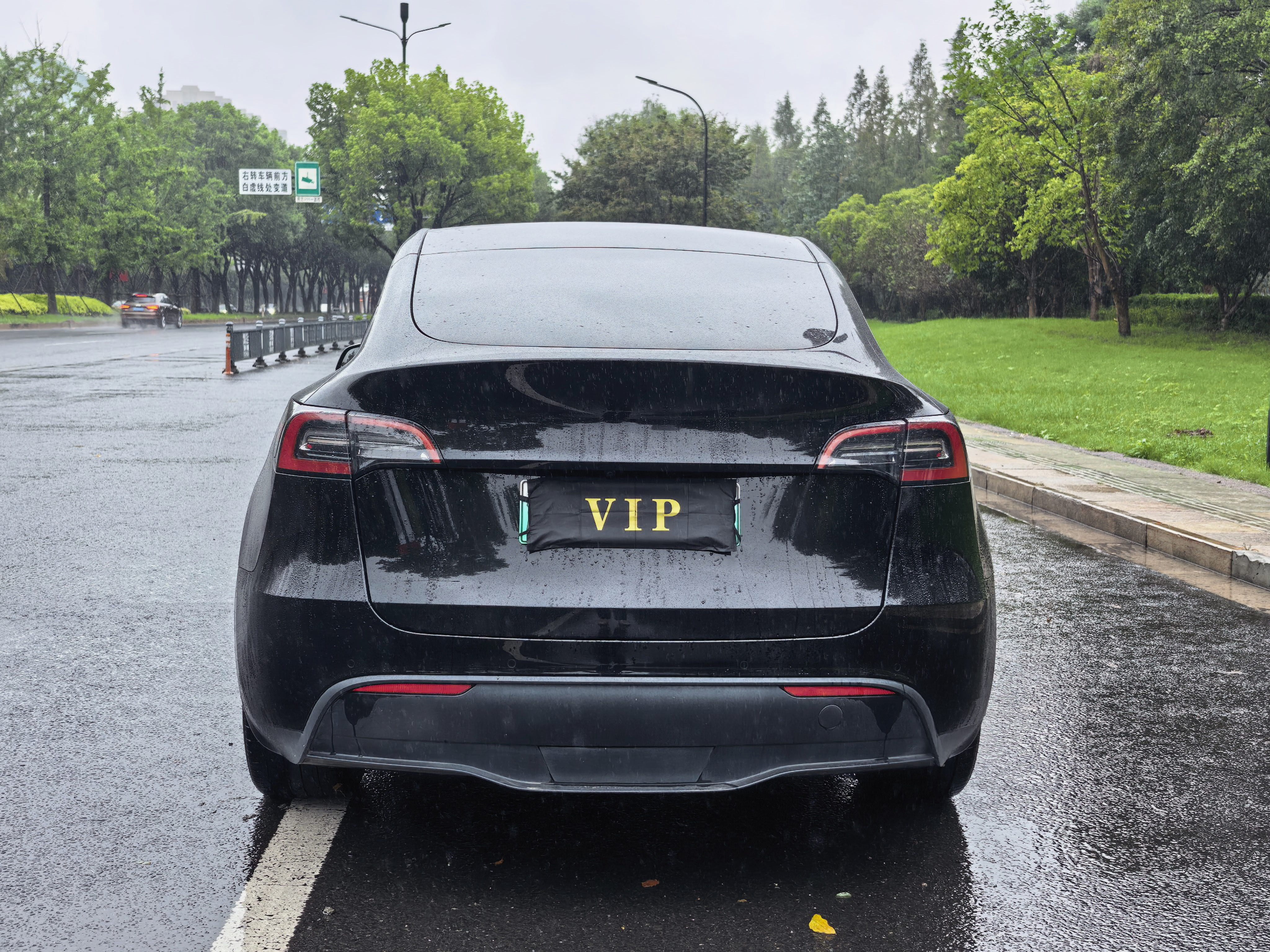 Tesla Model Y 2022 car image #10