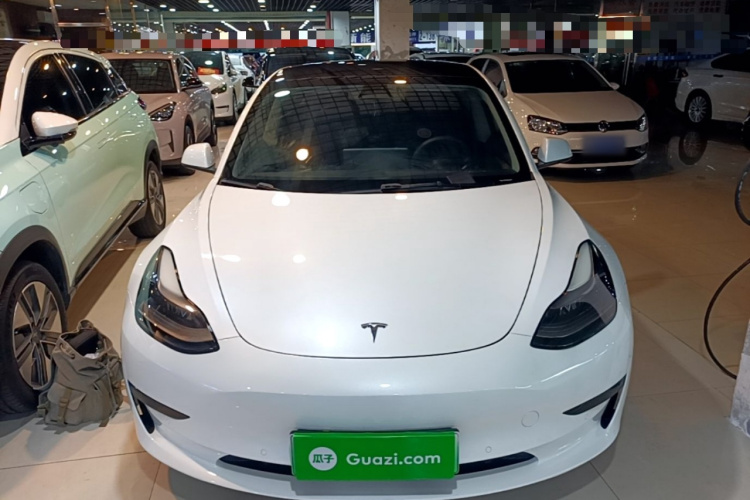 Tesla Model 3 2021 #3 Tesla Model 3 2021 car image #3