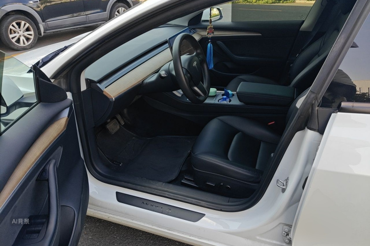 Tesla Model 3 2021 car image #18