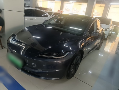 Tesla Model 3 2024 Tesla Model 3 2024 car image