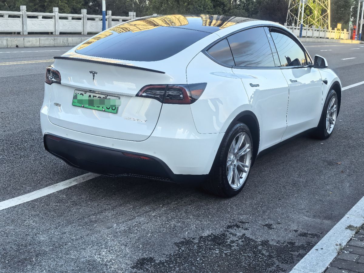 Tesla Model Y 2023 #7 Tesla Model Y 2023 car image #7