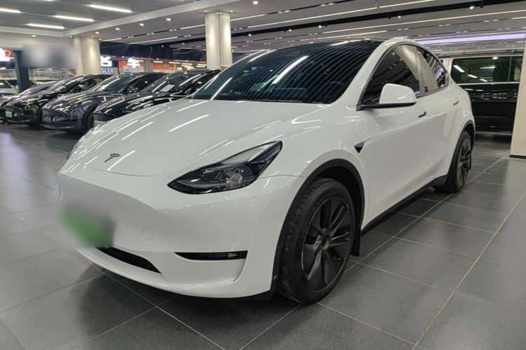 Tesla Model Y 2024 #2 Tesla Model Y 2024 immagine di auto #2