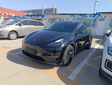 Tesla Model Y 2022 car image 