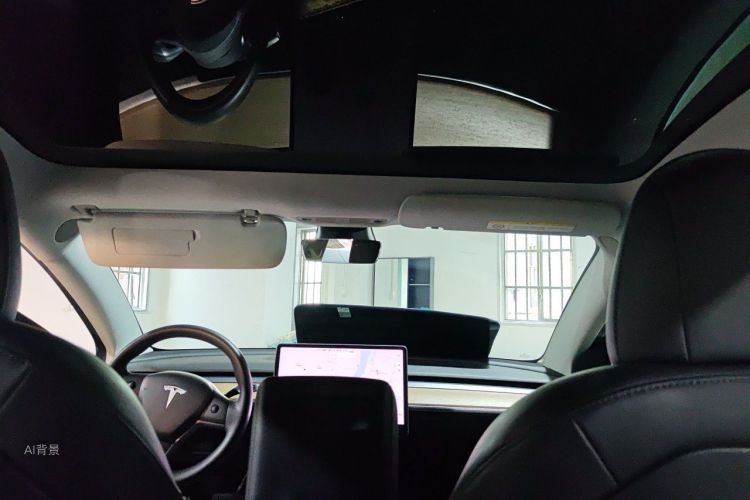 Tesla Model 3 2020 car image #20