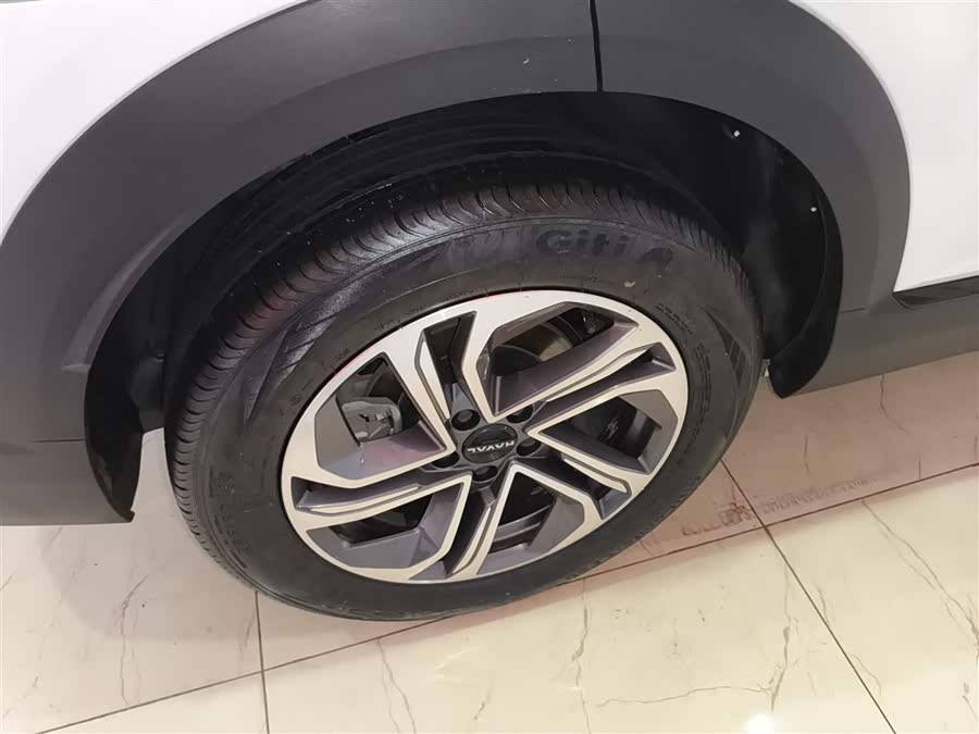 Haval Fierce Dragon 2024 car image #31