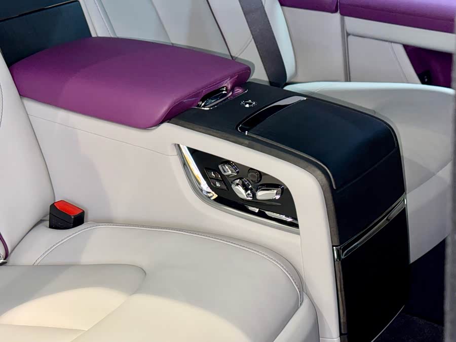 劳斯莱斯 古思特 2023 汽车图片 #31