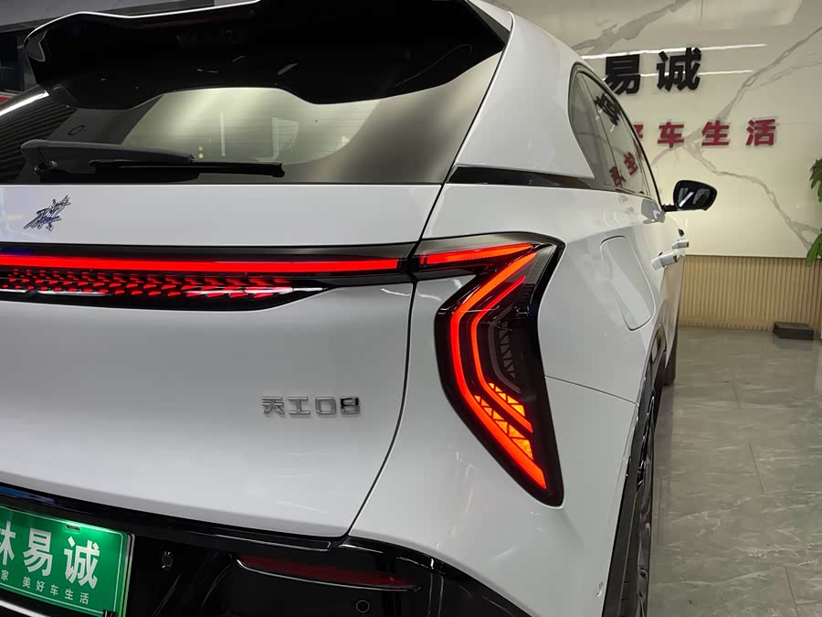 HongQi TianGong 08 2025 car image #31