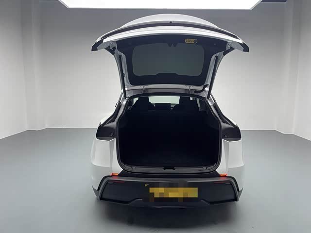Tesla Model Y 2025 car image #31